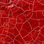Caldo record, oggi 17 città da bollino rosso: picchi fino ai 40°